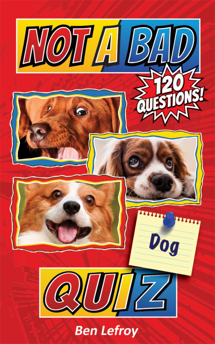 Not A Bad Dog Quiz book cover