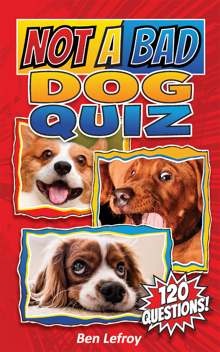 Not A Bad Dog Quiz book cover